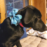 Scallop Violet Pinch Bow (5") - Dog Bow - Medium Baby Blue - Sapphire-Passion